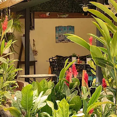 Lauras House
